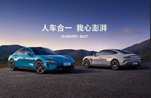 小米汽车上涨多少
